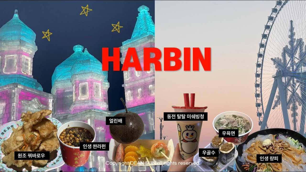 [하얼빈 여행 브이로그] 하얼빈 가성비 숙소 추천, 아침 시장 먹거리, 라오추지아, 사대 야시장, 여행 준비물