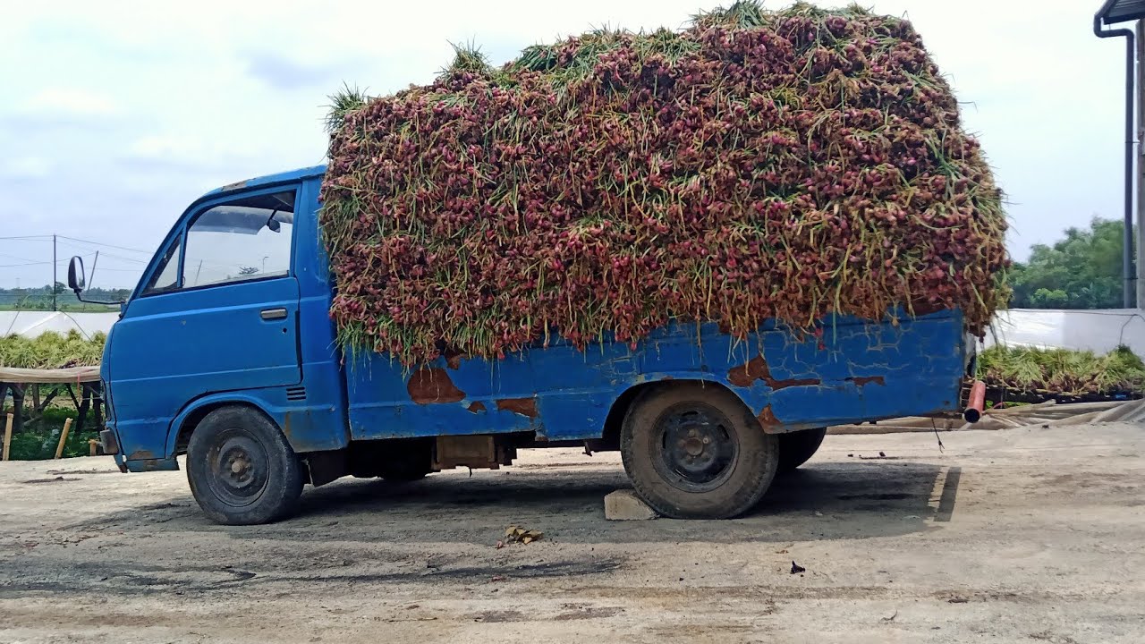 Belajar Mobil, Pengenalan tuas presneling. Hiace 1983 Diesel