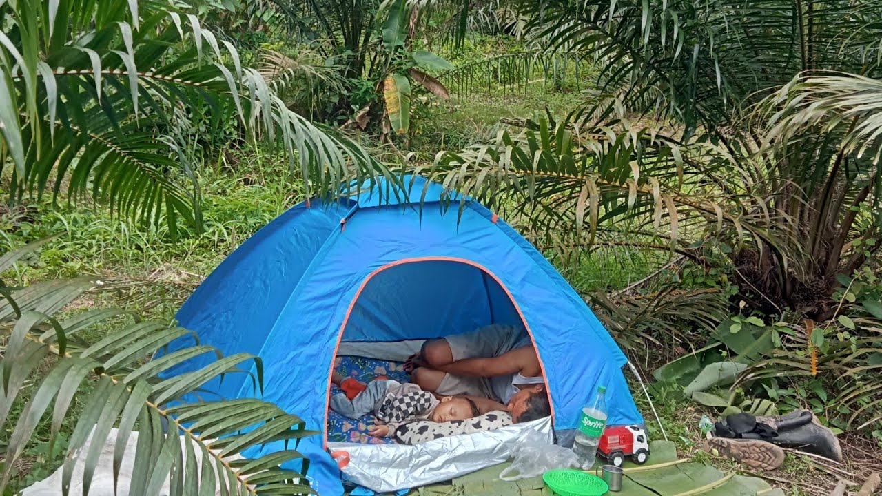 Camping di kebun sawit‼️ memasang shelter,membersihkan gulma,bakar ikan#camping #survival 