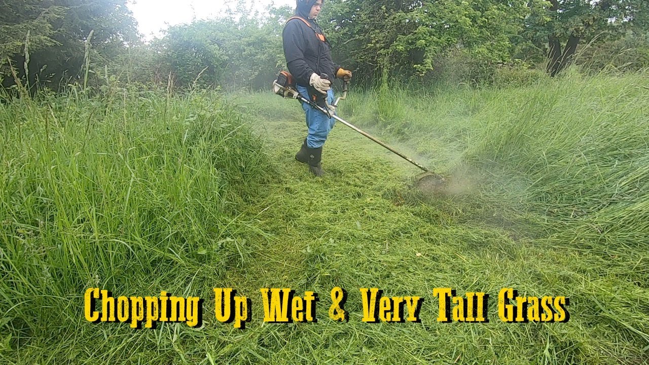 Cutting Matted Tall Grass | Stihl FS-131 String Trimmer #Stihl #Satisfying