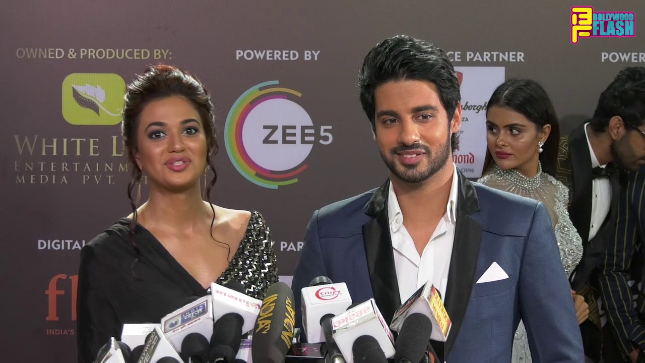 Gath Bandhan Serial Abrar Qazi & Shruti Sharma At 12th Gold Awards 2019 - Full Interview