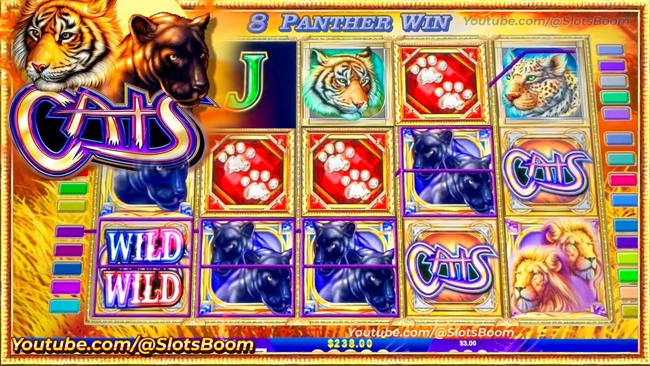 BIG WIN HIT on CATS - DOUBLE SPLIT SYMBOLS - IGT CASINO SLOTS - LIVE BONUS!!