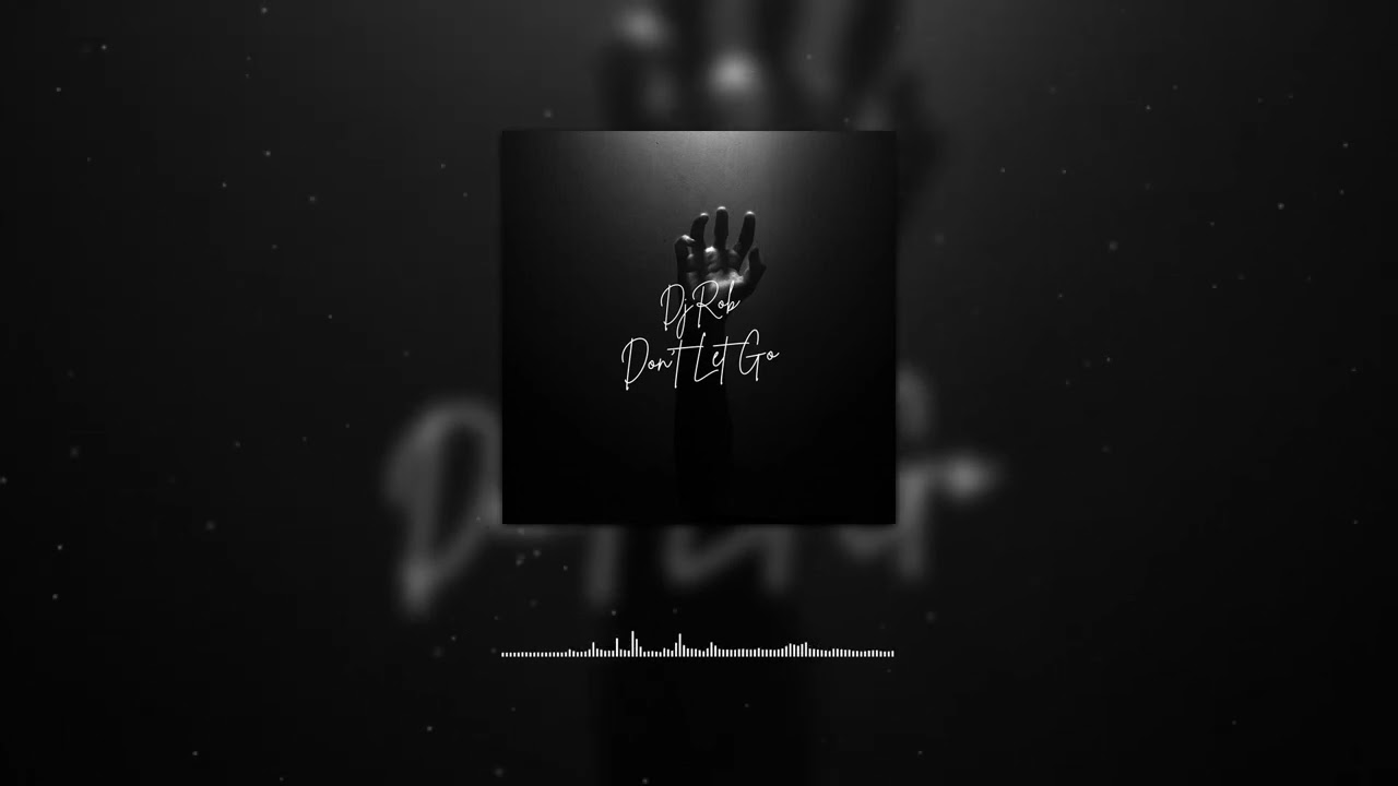 DJ Rob - Don’t Let Go [Official Music Visualizer]