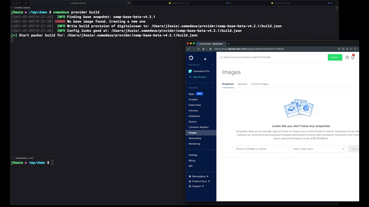 Osmedeus Professional setup guide for distributed scan