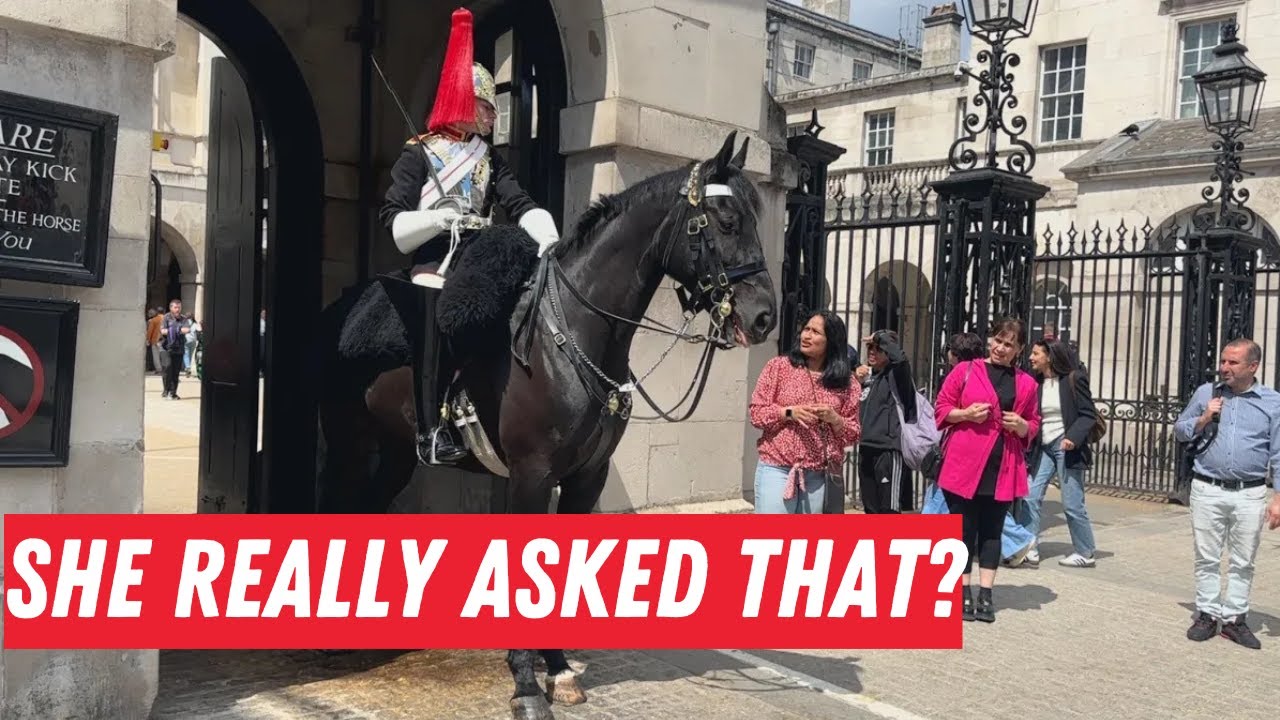 TOUCH THE HORSE?! Tourist SHOCKS Everyone at King's Guard Parade!