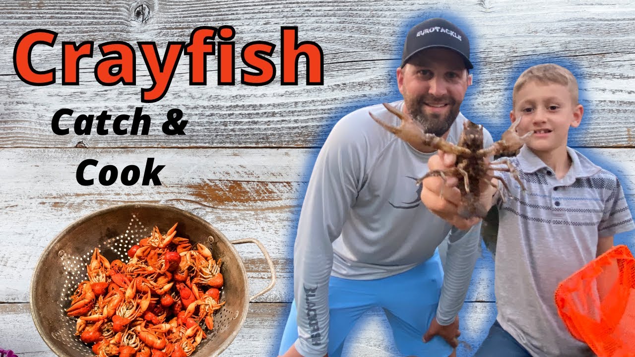 Crayfish Crazy! | How to Find and Catch Crawdads In Wisconsin (We Found the Jackpot!)