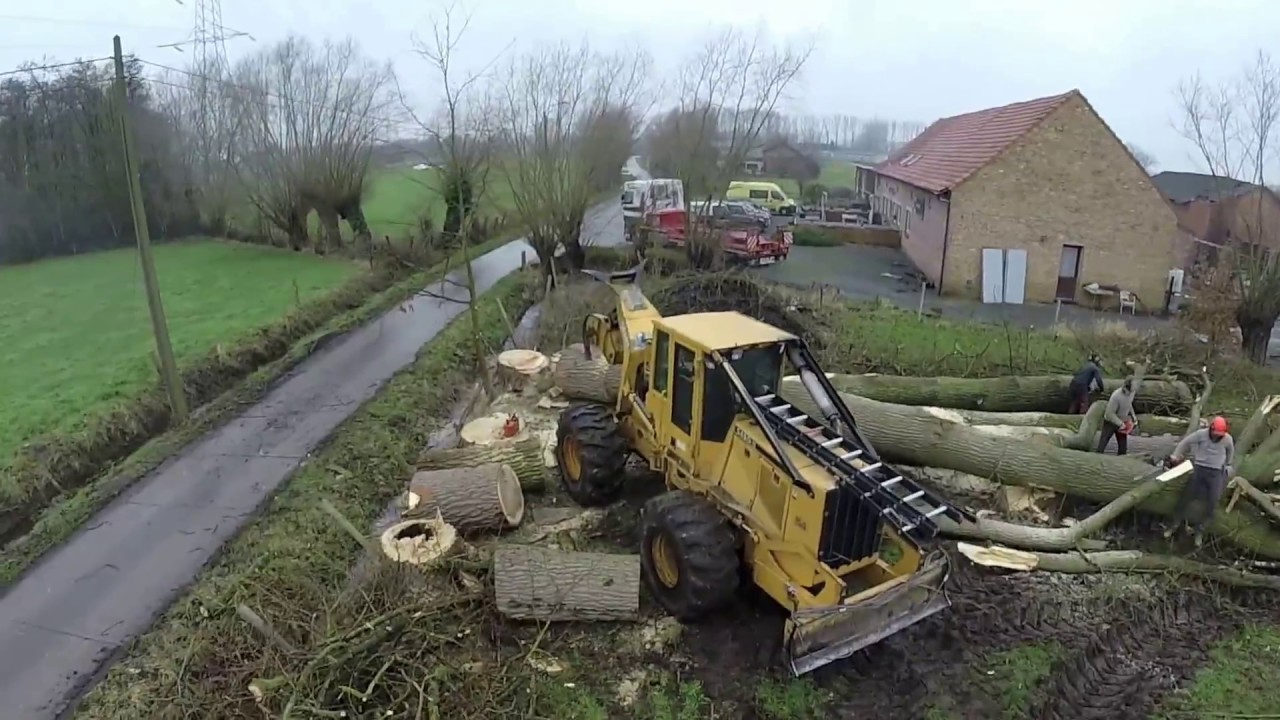 Abattage avec d&eacute;bardeuse de Huit Peupliers &agrave; Willebroek. Laurent Debecker