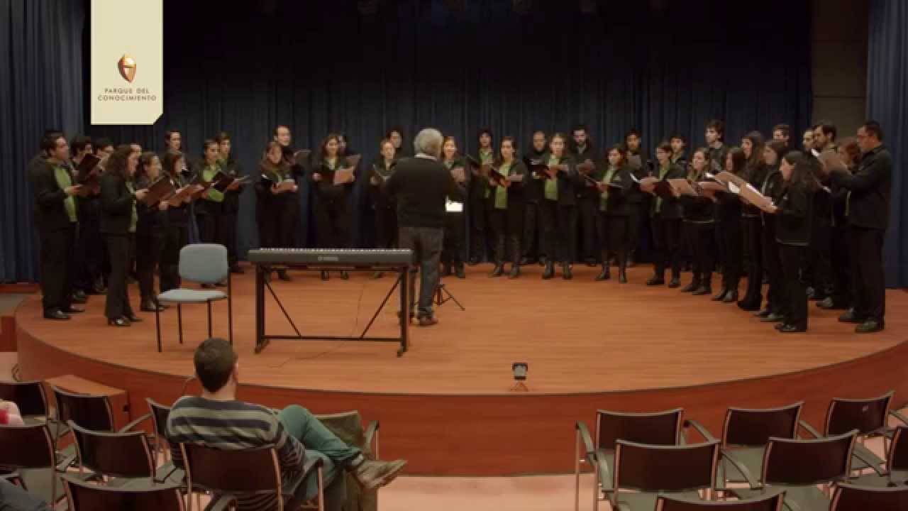 Coro Estable del Centro del Conocimiento - Basta y Barajo / Damián Sánchez