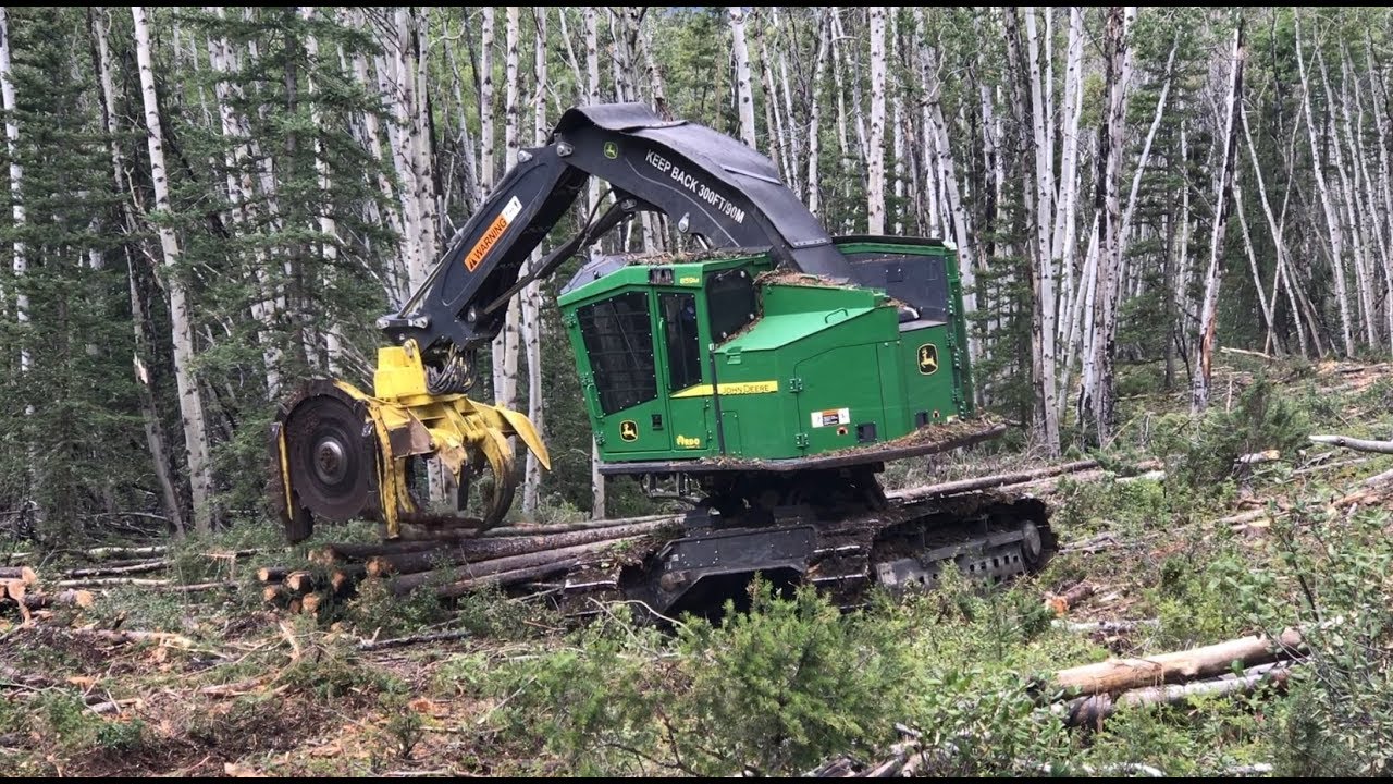 Logging in Montana 2018 VIDEO by Jonathan Moor
