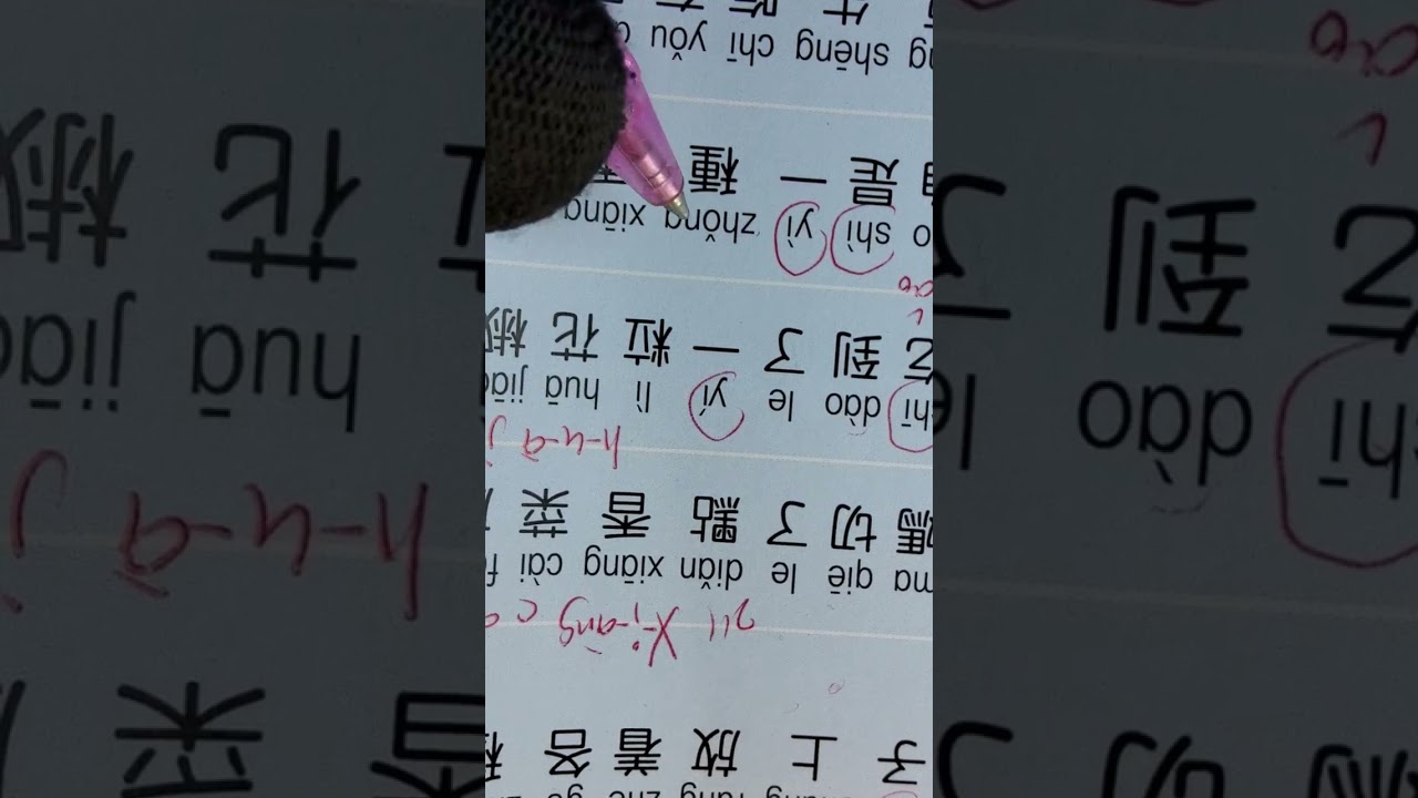 2中文1O页