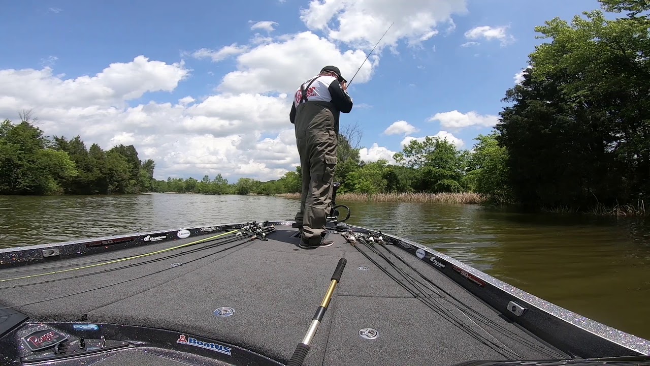 Why NEKO Rigs are BETTER than Wacky Rigs (Catch Bigger Bass)