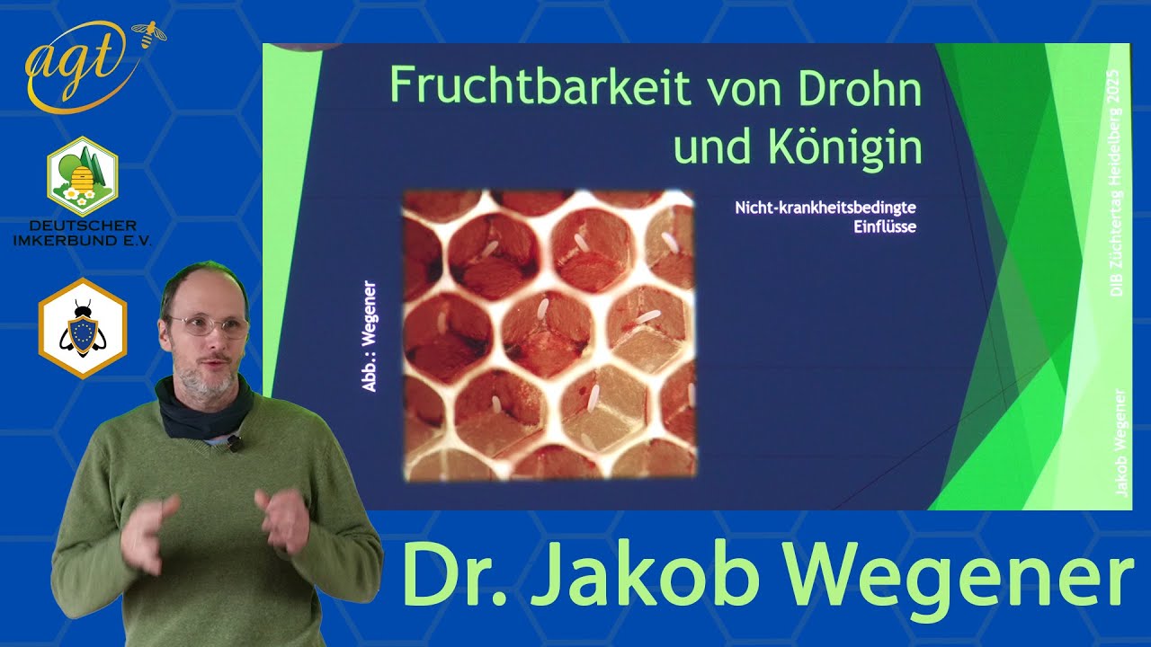 Fruchtbarkeit von Drohn und Königin - Dr. Jakob Wegener - DIB Arbeitstagung #Varroaresistenz2033 