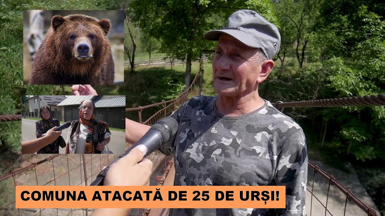 Cum arată o comună ATACATĂ de 25 de urși?!🐻 - Despre FRICĂ, neputință și ursul Rambo!🆘 (ep.2)