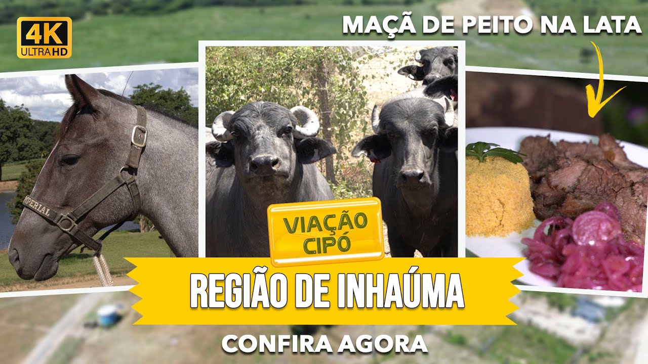 INHAÚMA: Conheça o MUNICÍPIO dos HARAS! | A Viação Cipó te conta tudo!