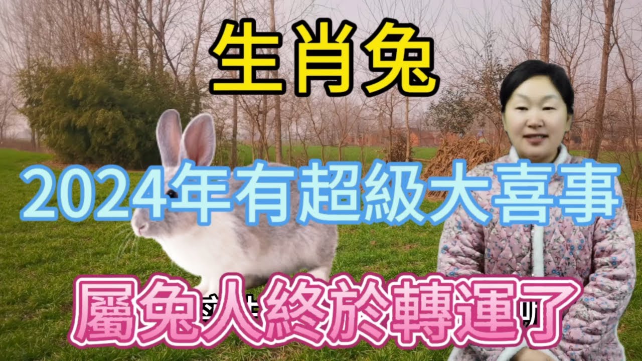生肖屬相兔！屬兔人在2024年有什麼超級大喜事呢？本期視頻講述生肖屬兔人的喜事以及屬兔人如何轉運！#運勢 #風水 #財運 #2024