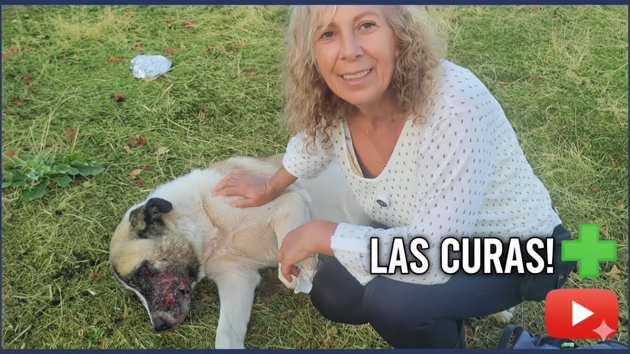 GUERRA ENTRE FAMILIA!!