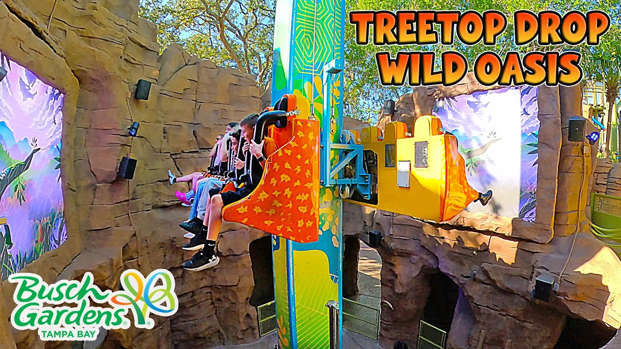 Ride Treetop Drop in Wild Oasis at Busch Gardens Tampa Bay (Jan 2026) [4K]