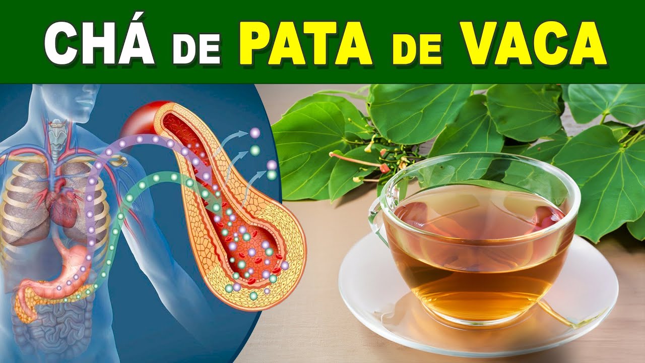 Chá para BAIXAR AÇÚCAR NO SANGUE e DESINCHAR! Benefícios do Chá de Pata de Vaca, Como Fazer e Tomar