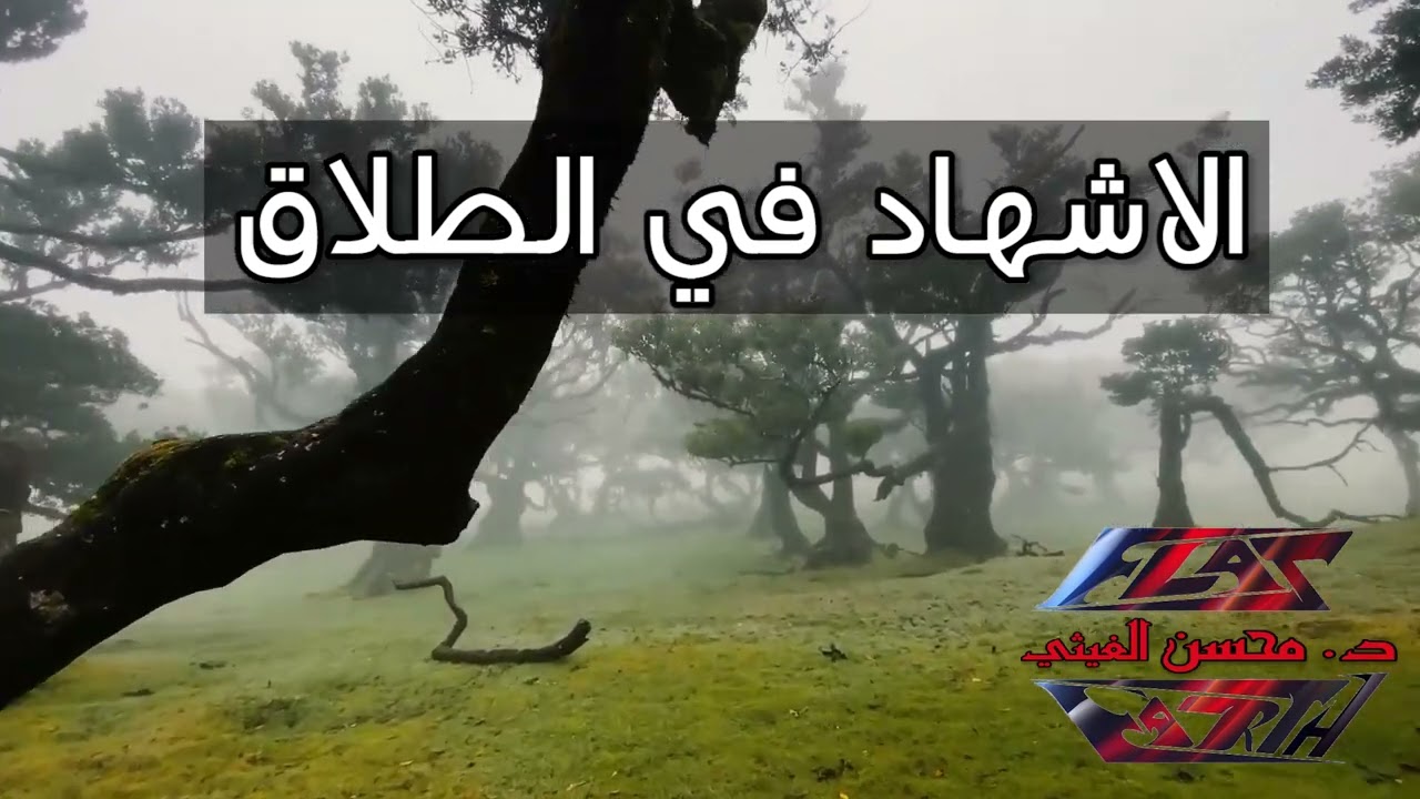 32 - الإشهاد في الطلاق -  د  محسن الغيثي