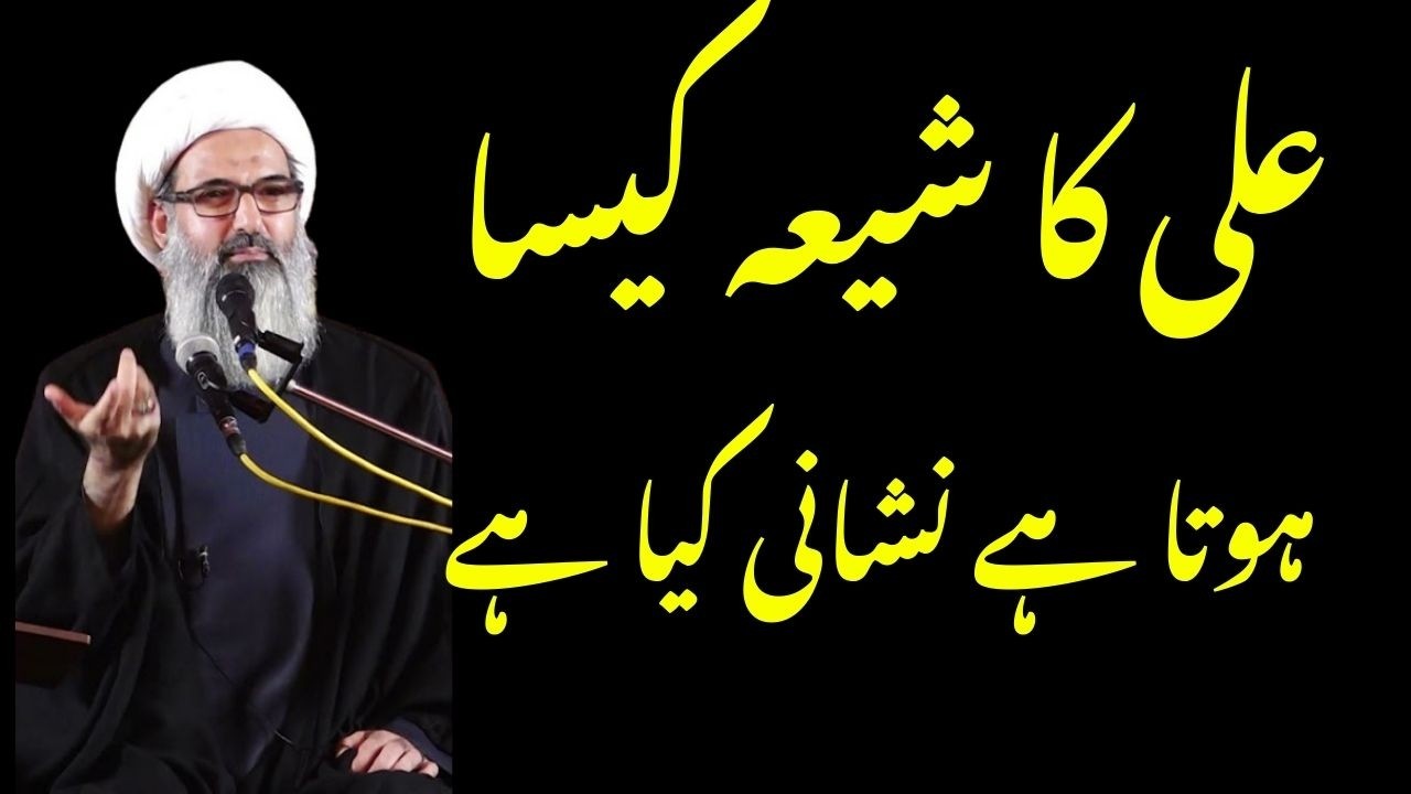 Shia kon Hai | Hazrat Ali Ka Shia Kasa Hota Hai | Allama Anwar Ali Najafi