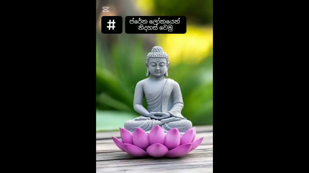 ප්‍රේත ලෝකයෙන් නිදහස් වෙමු,උතුම් වූ පංච සීලය සමාදන් වී චතුරාර්ය සත්‍ය අවබෝධය කරා යමු#@මෙත් සිත