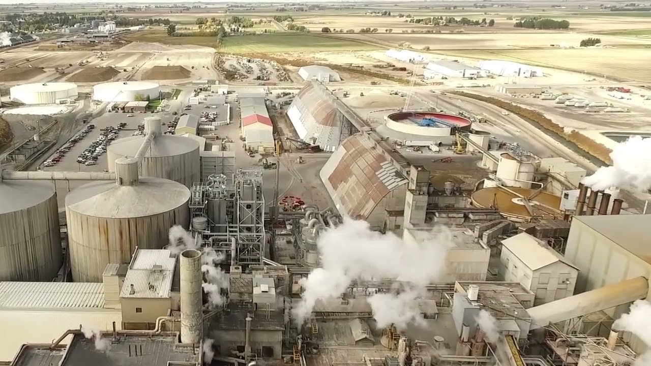 Amalgamated Sugar Company