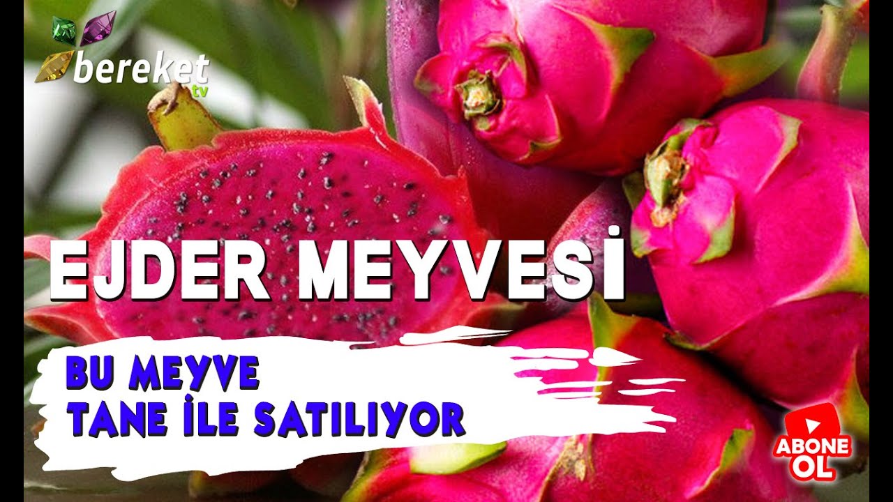 Tarım Sözlüğü | Ejder Meyvesi 1. Bölüm