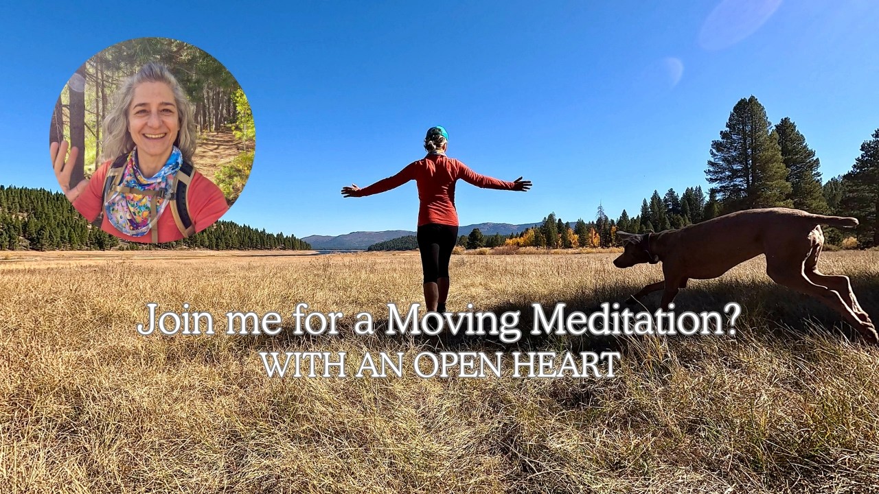 Hiking w a Full Heart, solo hiking w my dog, ASMR