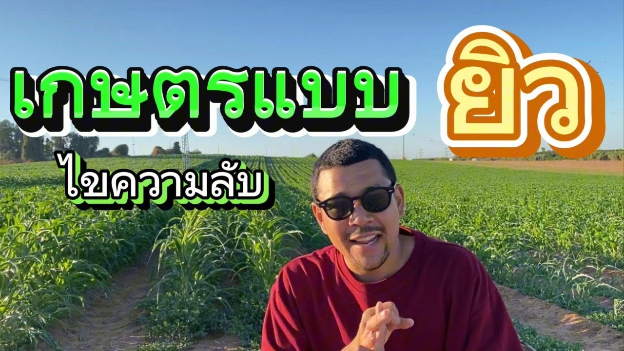 ทำเกษตรยังไง..ให้รวยแบบชาวอิสราเอล | วัยรุ่นอิสราเอล EP. 46 | ‪@dobungyt