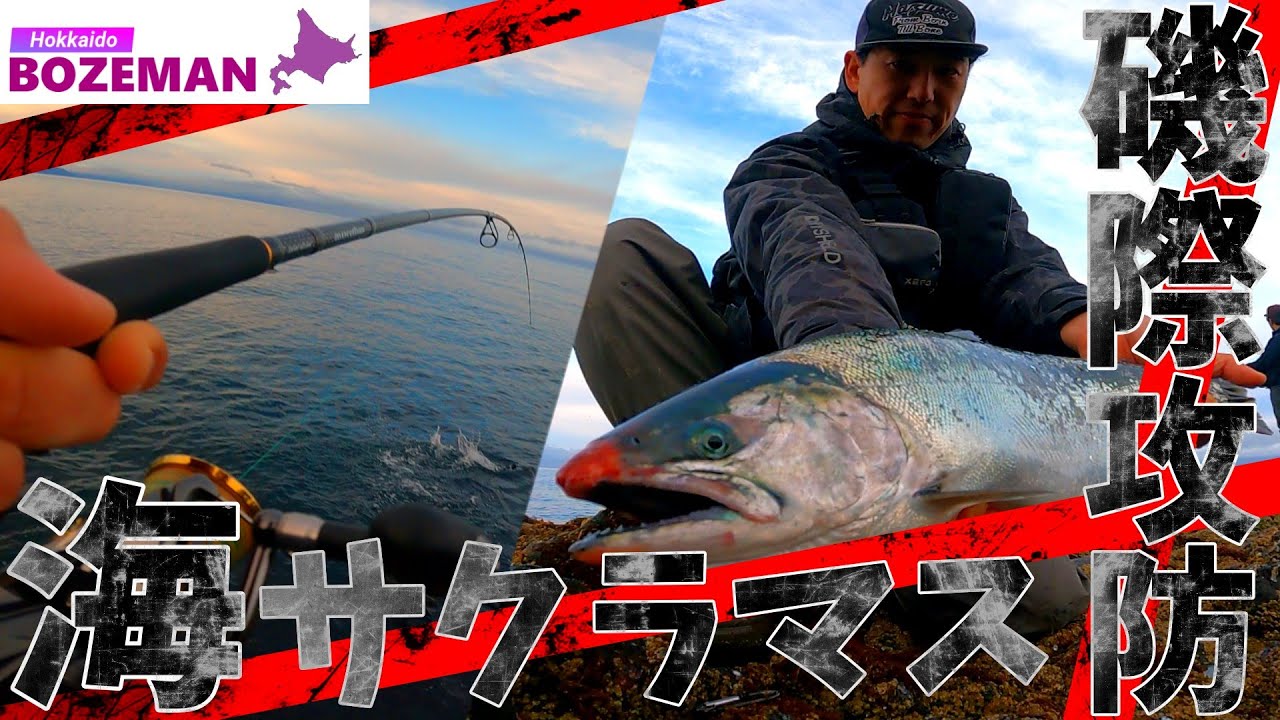 磯際で走りだす海サクラマスと戦慄的ファイト【北海道釣り】【海サクラマス釣り】