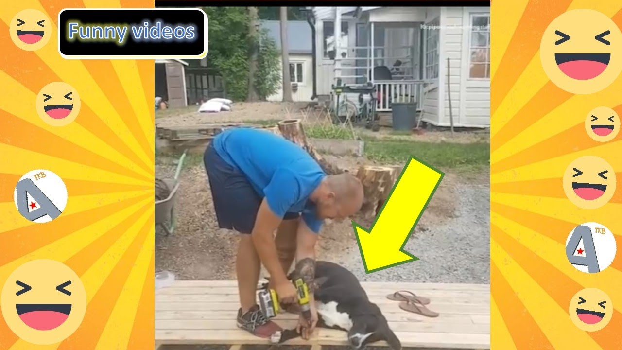 Funny Videos and Funny Animal, Joke a Day Humor Hilarious Try Not To Laugh - Ep.8 [A-TKB Funny]