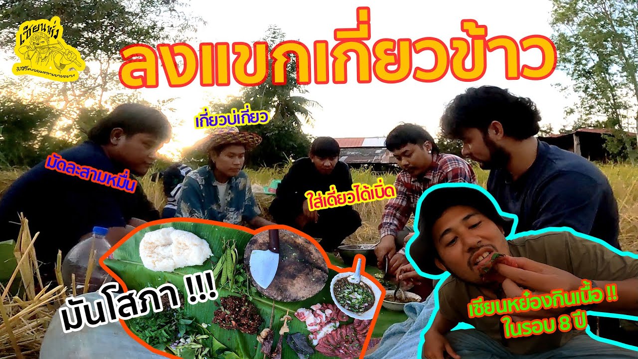 เซียนหรั่ง - วิถีชีวิตแบบมะลายยายอยาก l ตอน ลงแขกเกี่ยวข้าว