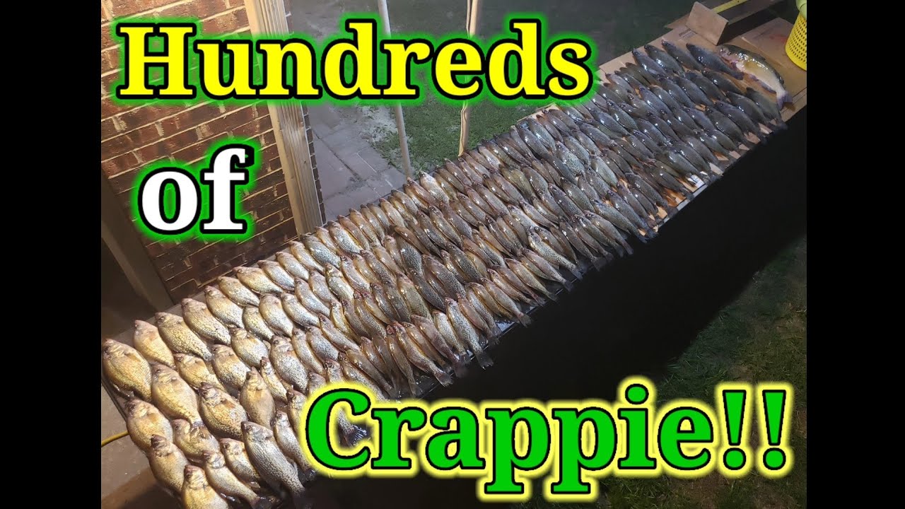FALL CRAPPIE = NO CAPPING