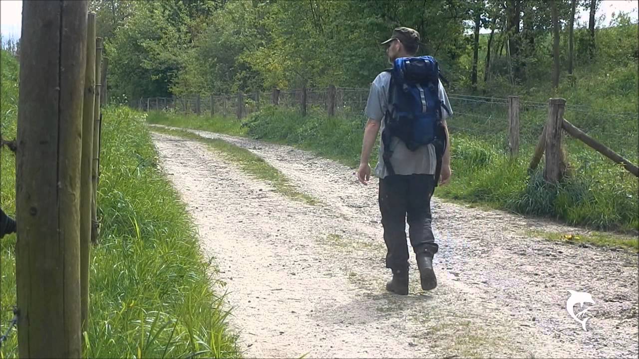Walking series - Around Baneheide #1
