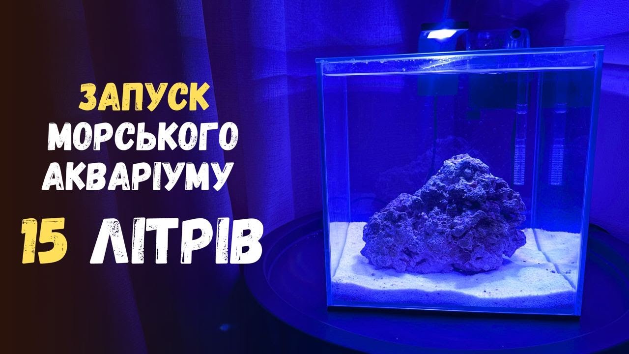 Запуск морського акваріуму 15 літрів