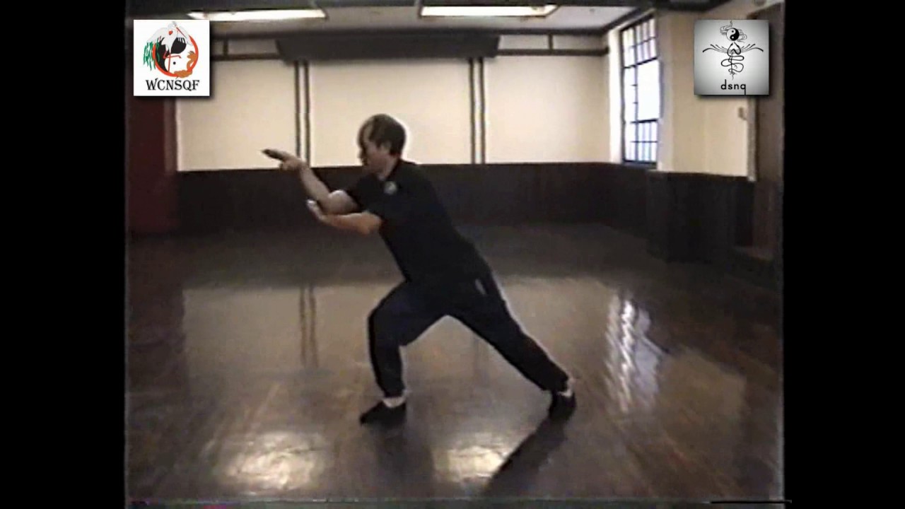 Wing Chun Ngo Si Quy Family  Dai Sifu Duong Tuan  Five Animals Combination Forms
