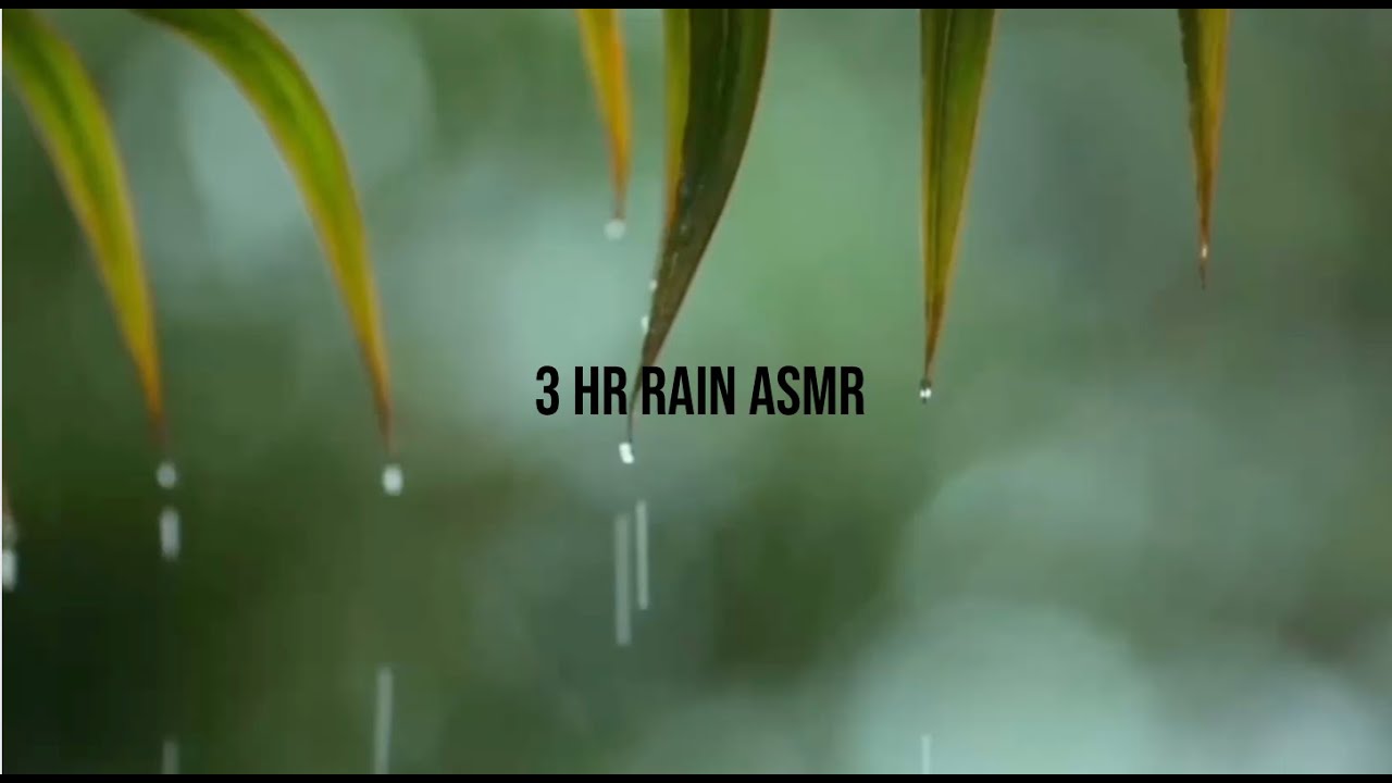 3 HR RAIN ASMR