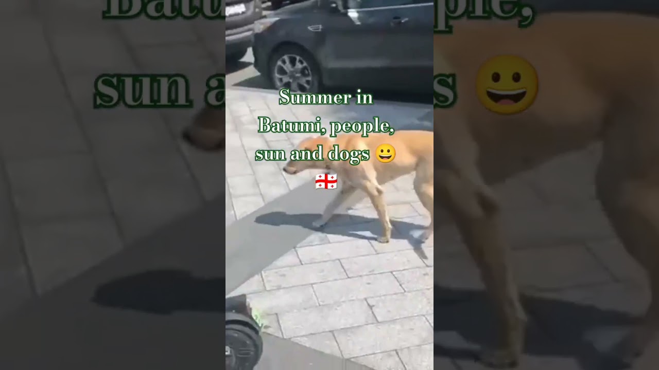 Summer in Europa Square 🇬🇪🥰