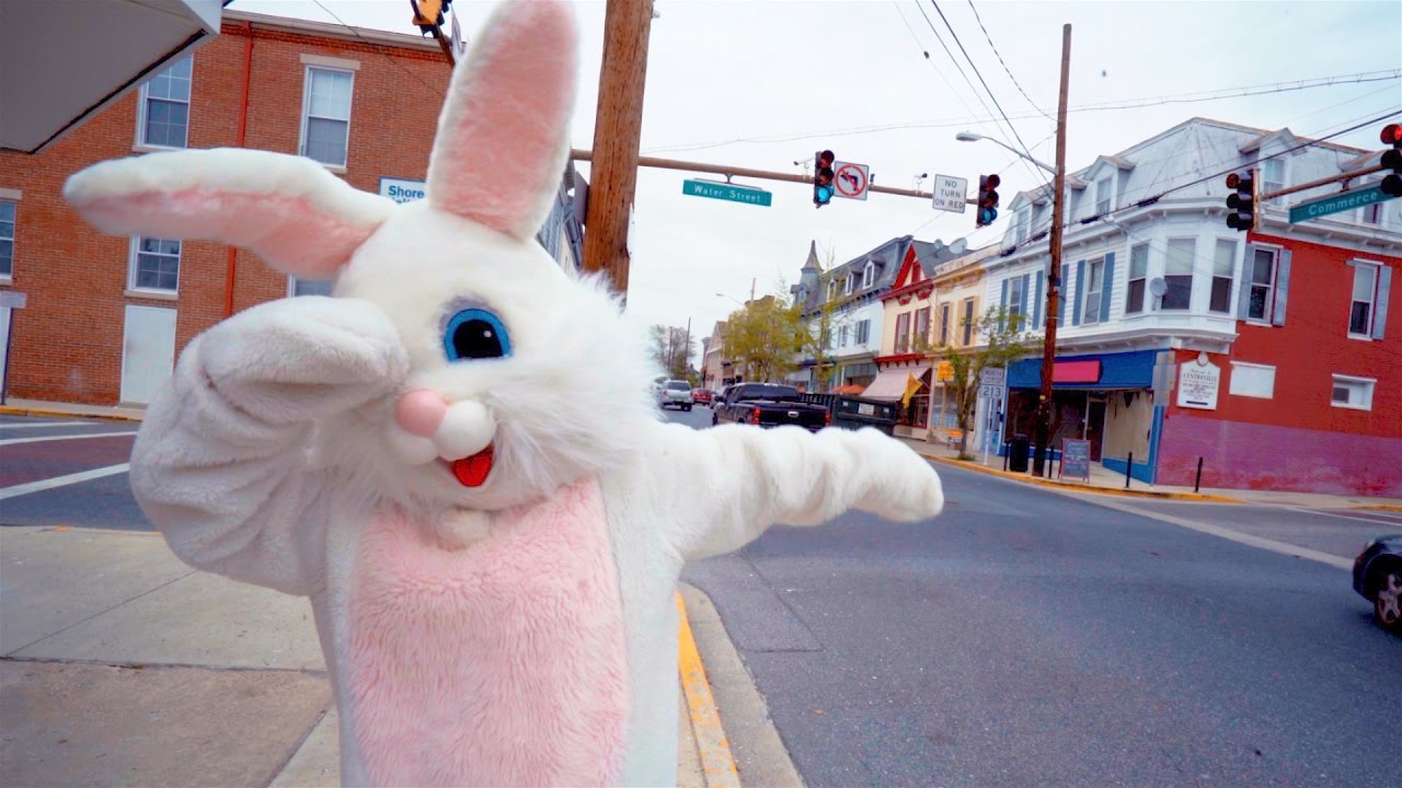Dabbing Easter Bunny Spotted In Queen Anne's County, Maryland