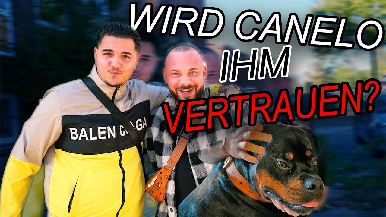 Canelo‘s Körperteile werden eingerenkt 🐶😱 (Tierchiropraktiker)