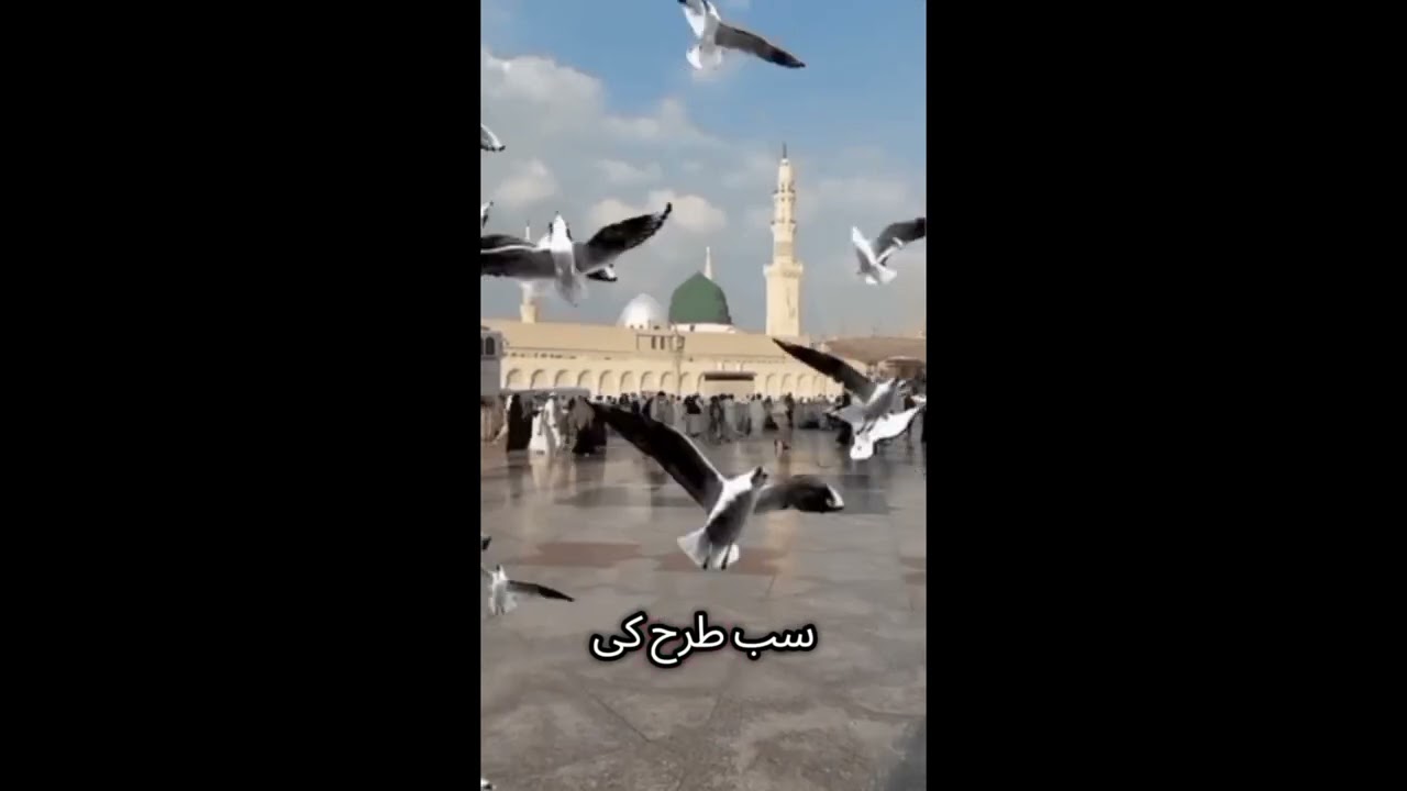 سورہ الفاتحہ ہر آیت کا مطلب اور مکمل تلاوت | آسان اردو ترجمہ کے ساتھ