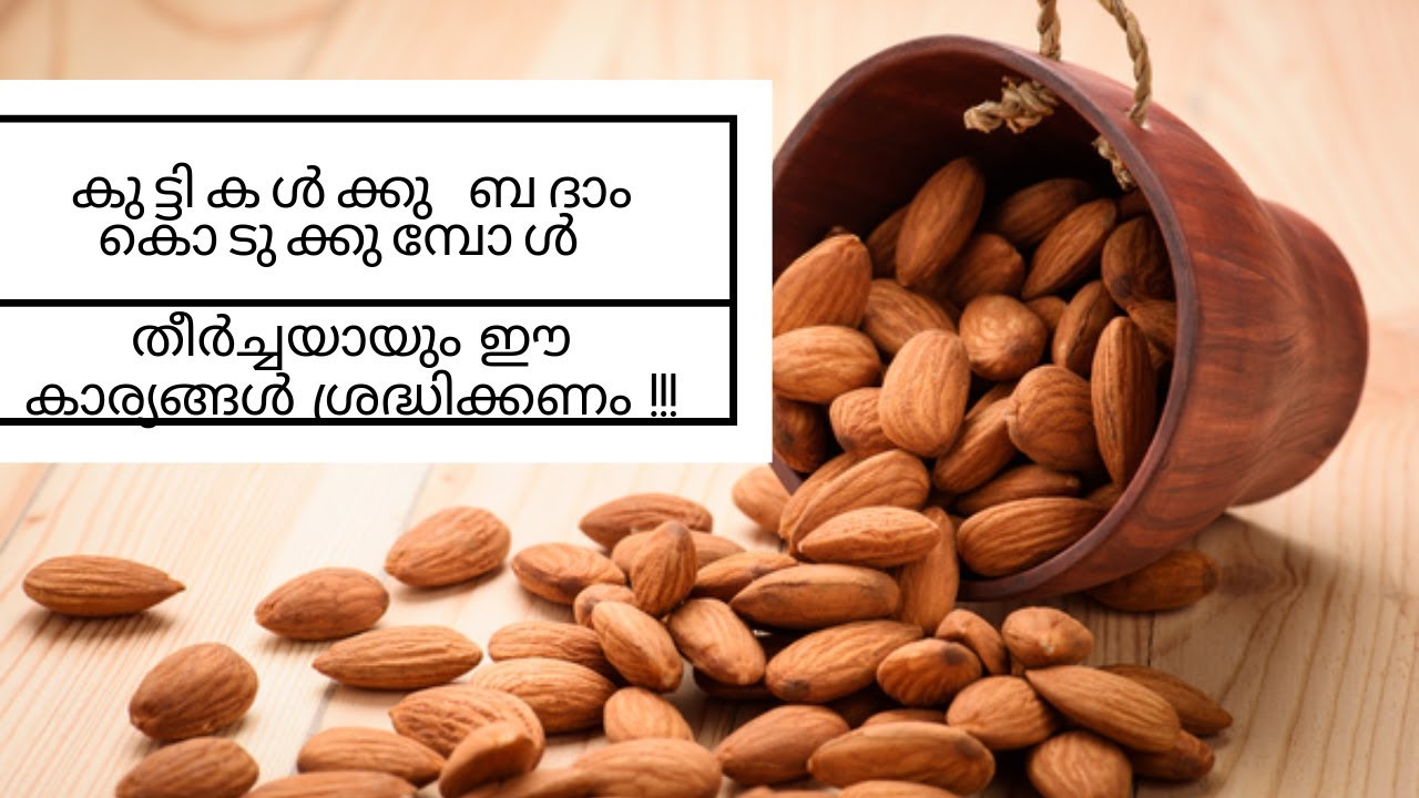 How to give almonds to babies?|Proper way to give almonds to babies!