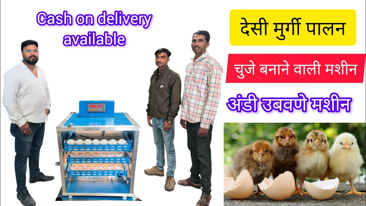 240 Eggs Fully Automatic Incubator how to use #incubator #eggs #hatchery #poultry #trending #viral