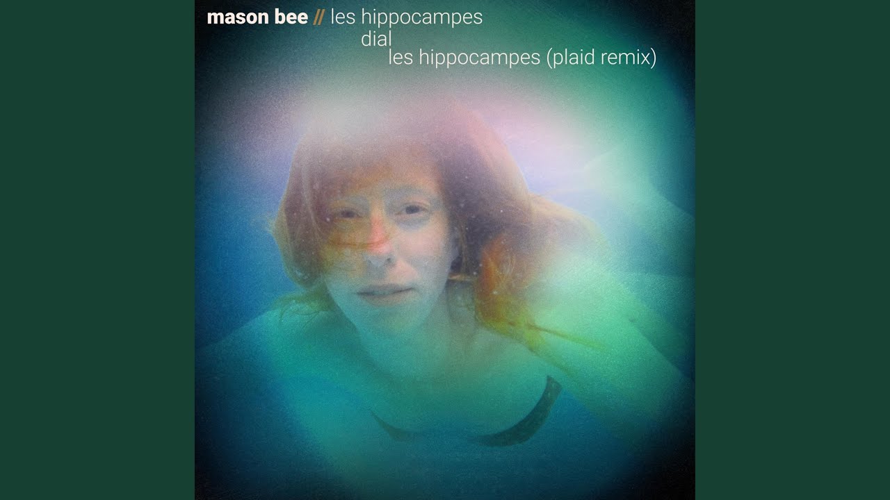 Les Hippocampes (Plaid Remix)