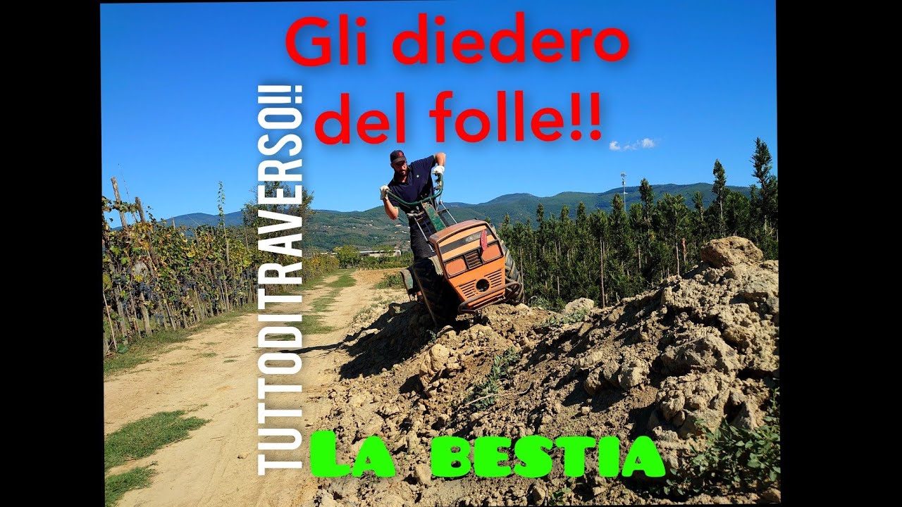 Motocoltivatore GOLDONI 718 all'azione con la zappatrice. Guida completa