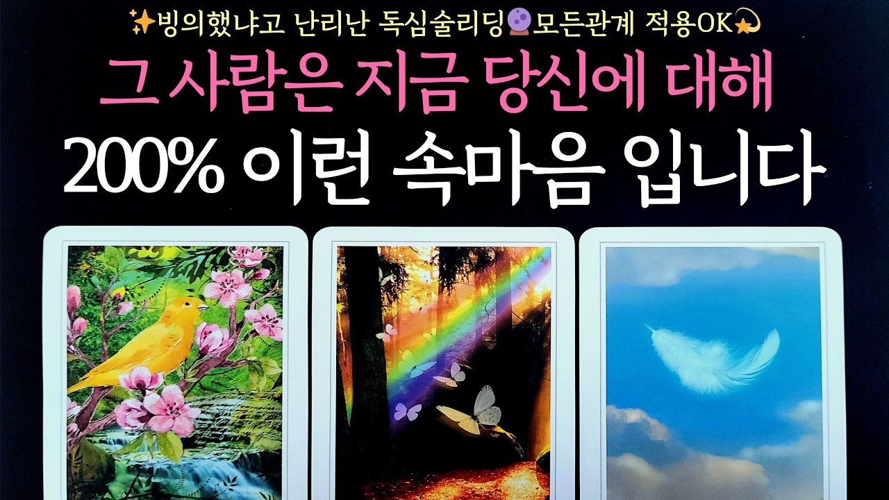 [타로] 