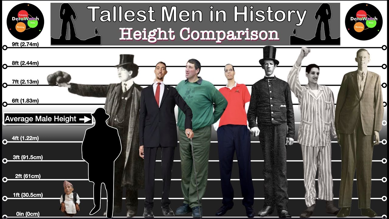 Height Comparison | Tallest People in the World