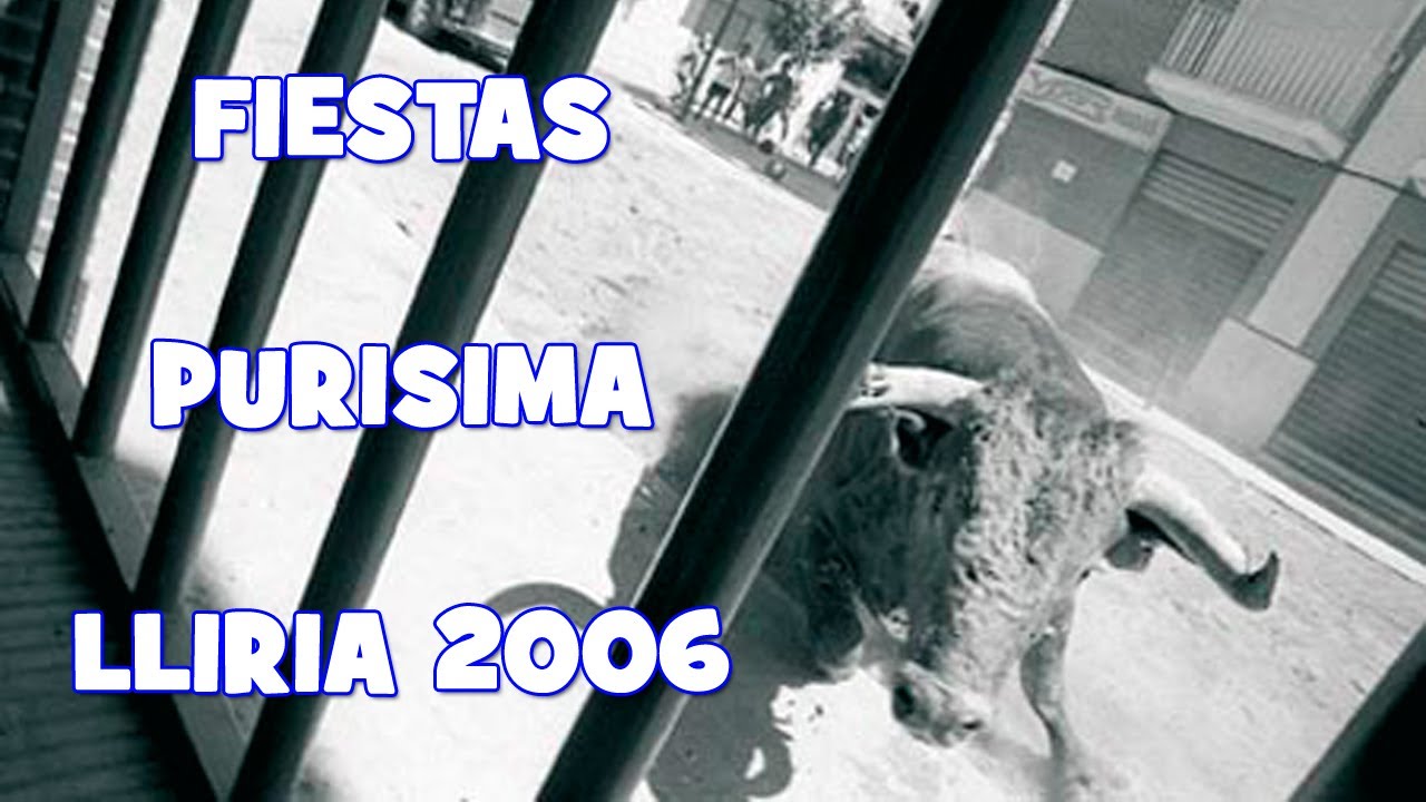 FIESTAS PURISIMA LLIRIA 2006  (TOROS EN LLIRIA)