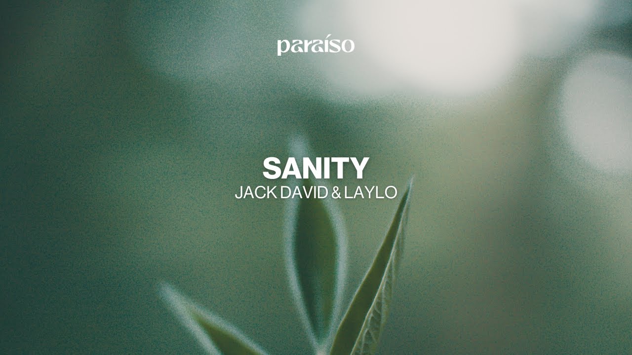 Jack David & LAYLO - Sanity (Music Video)