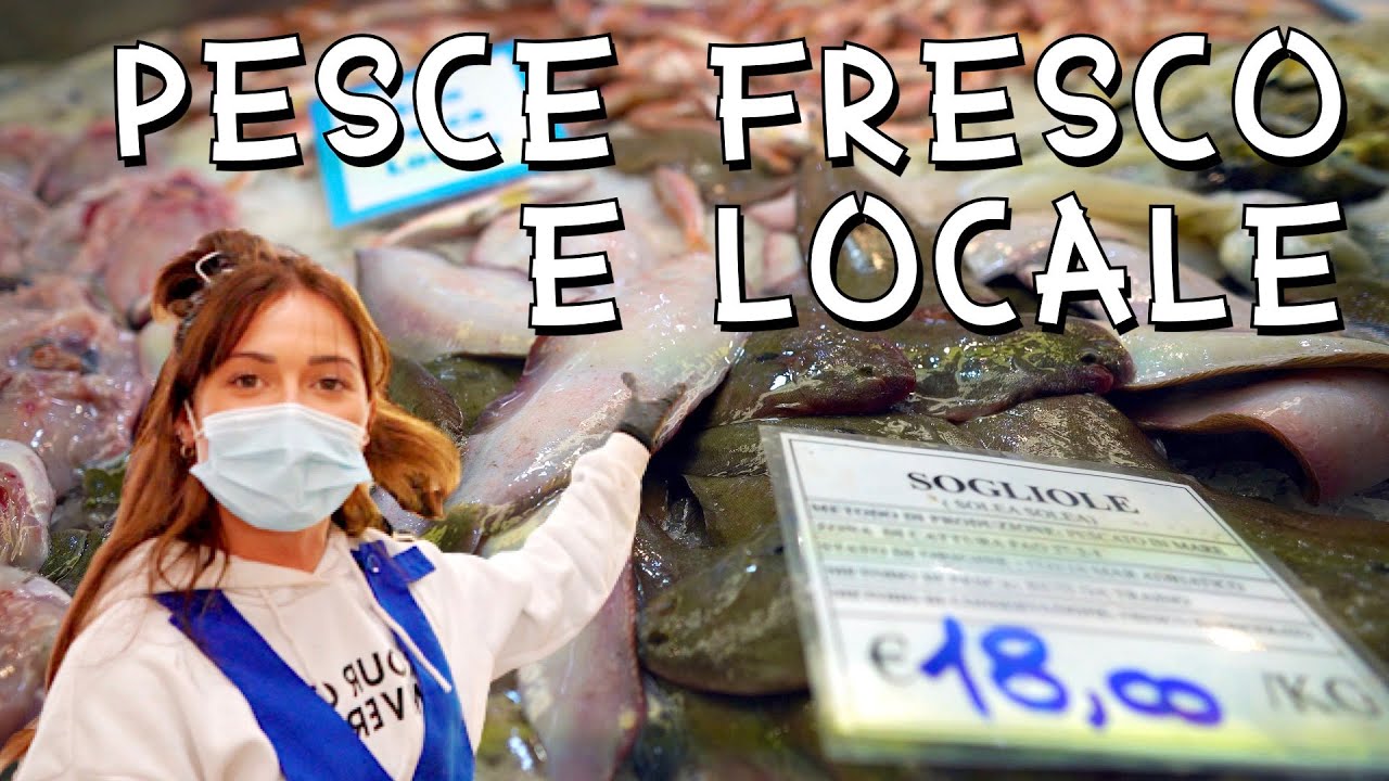 Cosa visitare a Rimini? IL MERCATO COPERTO: la più GRANDE pescheria dell’Emilia-Romagna 🐟
